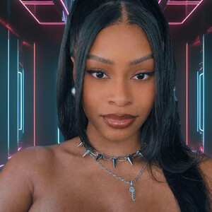 Profile preview